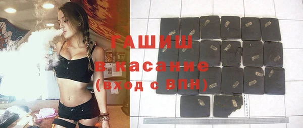 МДПВ Михайлов