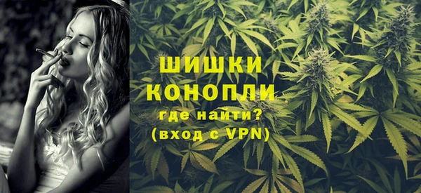 МДПВ Михайлов