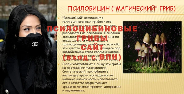 МДПВ Михайлов