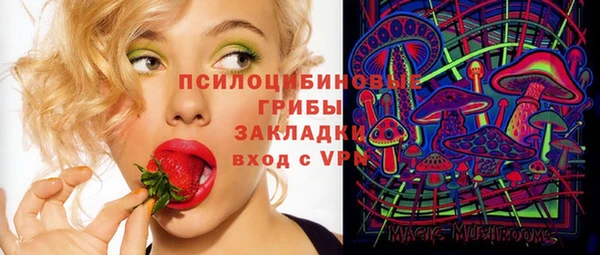 МДПВ Михайлов
