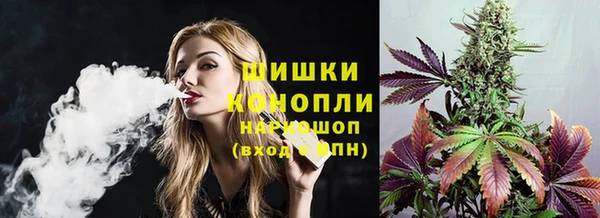 МДПВ Михайлов